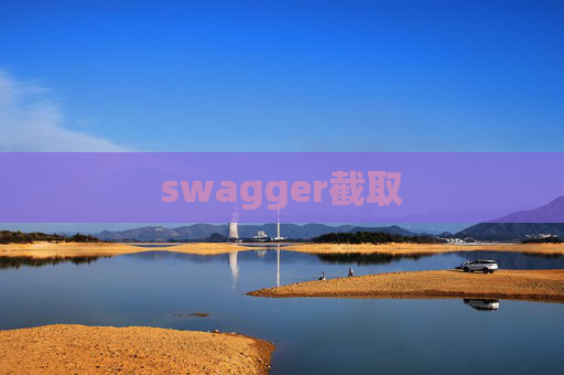 swagger截取